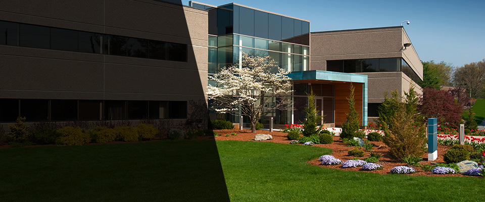 Gibsonton Landscapers