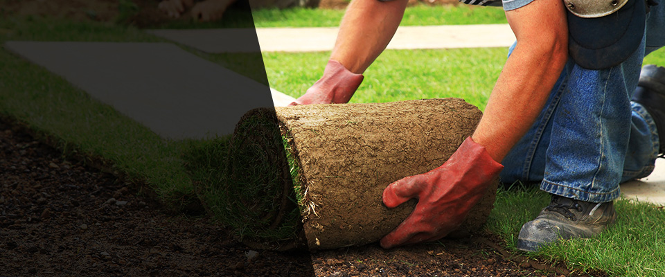 Gibsonton Landscapers